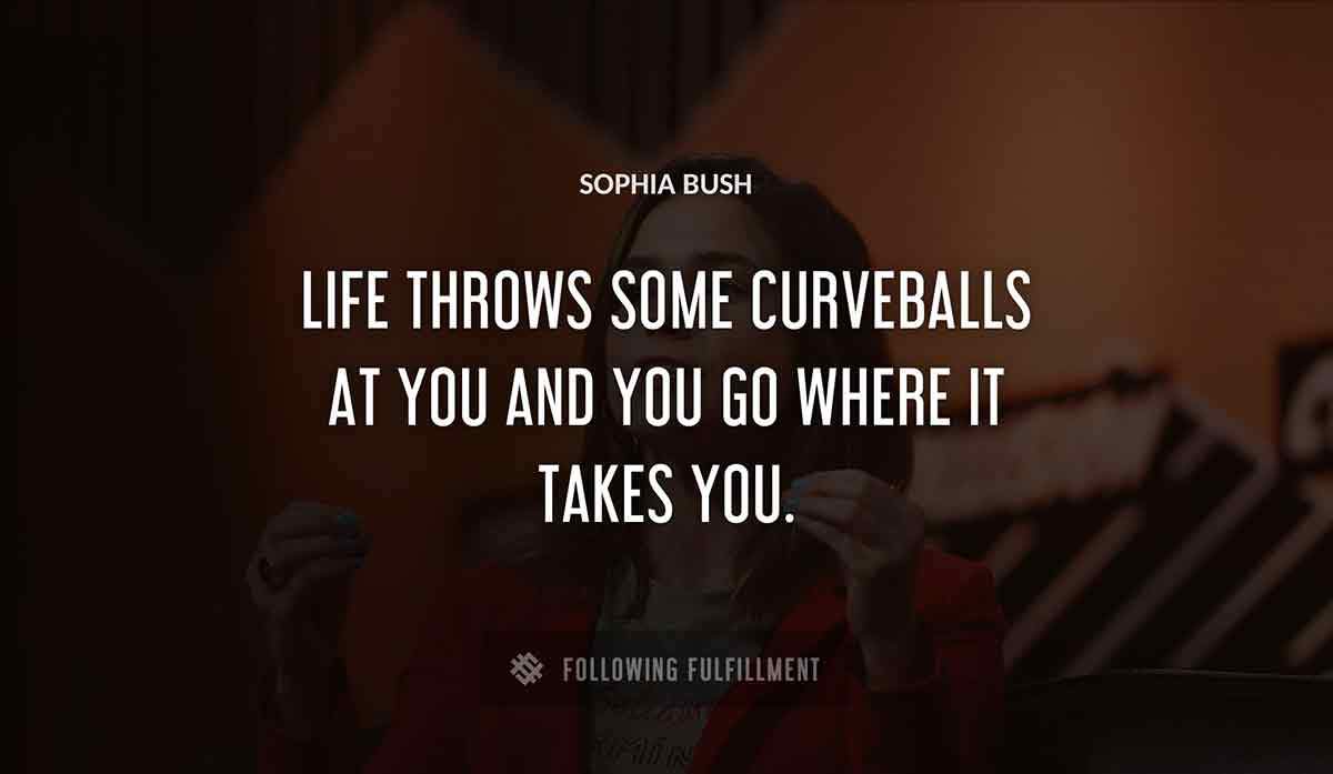 life throws some curveballs at you and you go where it takes you Sophia Bush quote