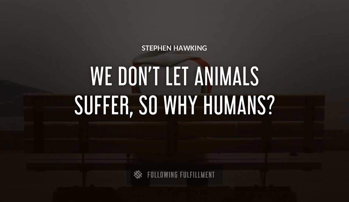 we don t let animals suffer so why humans Stephen Hawking quote