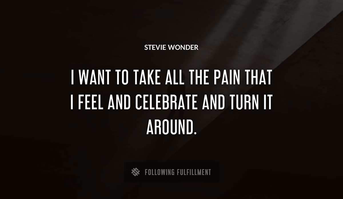i want to take all the pain that i feel and celebrate and turn it around Stevie Wonder quote
