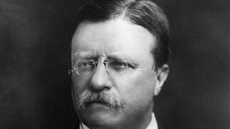 Teddy Roosevelt quotes thumbnail