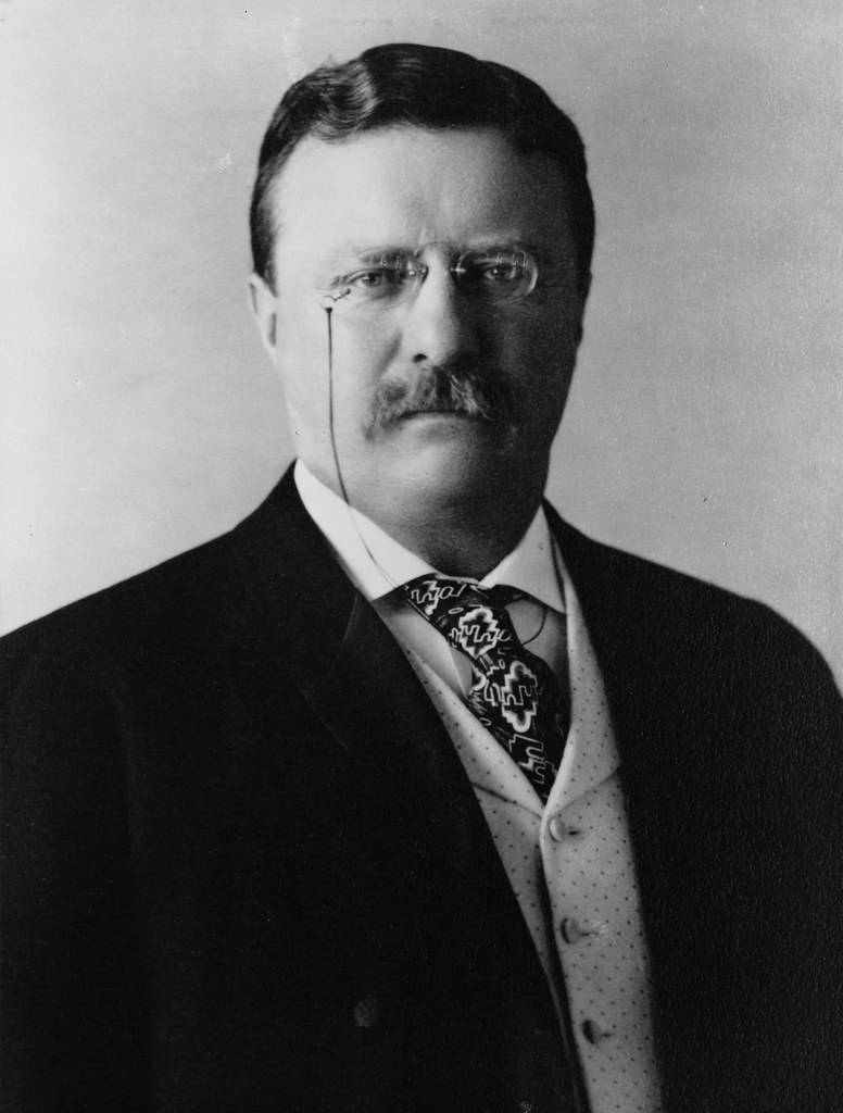 Theodore Roosevelt quotes thumbnail