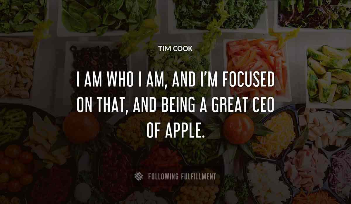 i am who i am and i m focused on that and being a great ceo of apple Tim Cook quote