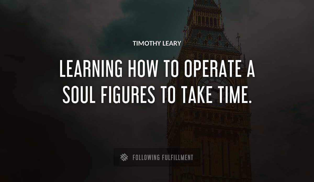 learning how to operate a soul figures to take time Timothy Leary quote