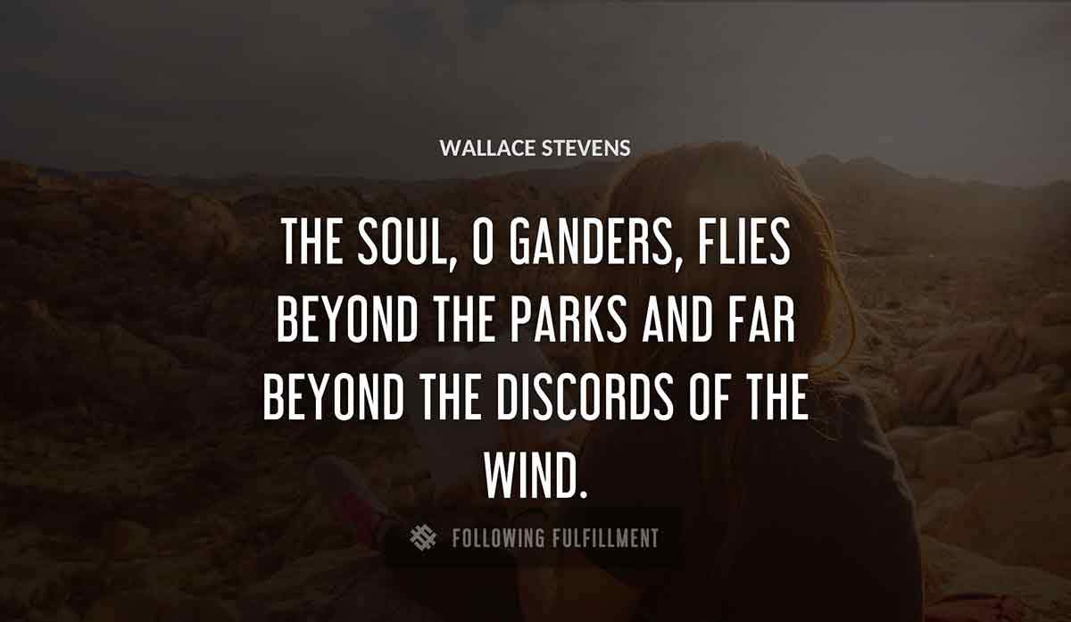 the soul o ganders flies beyond the parks and far beyond the discords of the wind Wallace Stevens quote