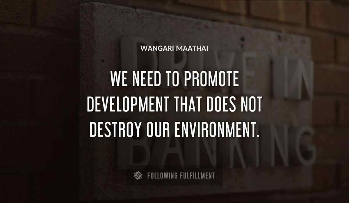 we need to promote development that does not destroy our environment Wangari Maathai quote