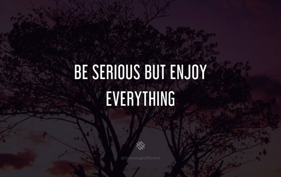 attitude quote Be serious but enjoy everything