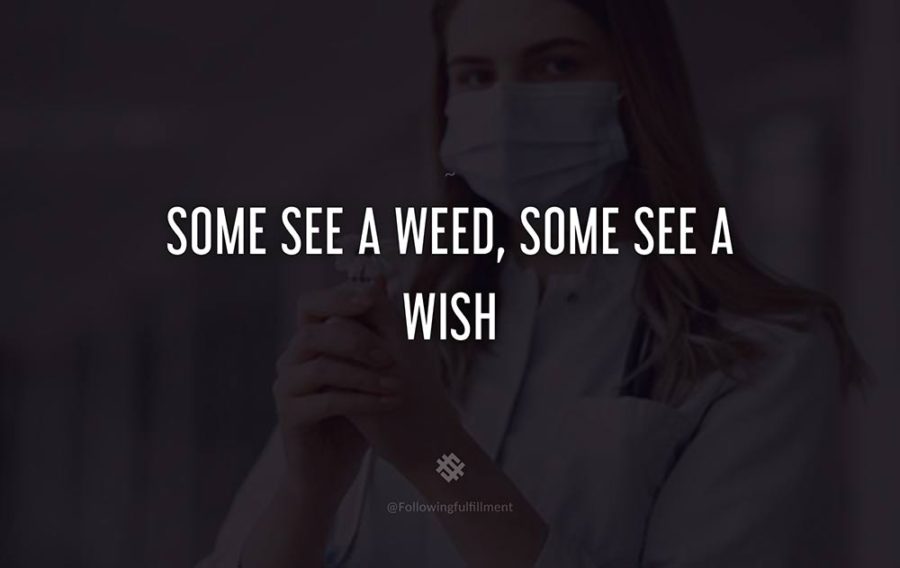 attitude quote Some see a weed some see a wish