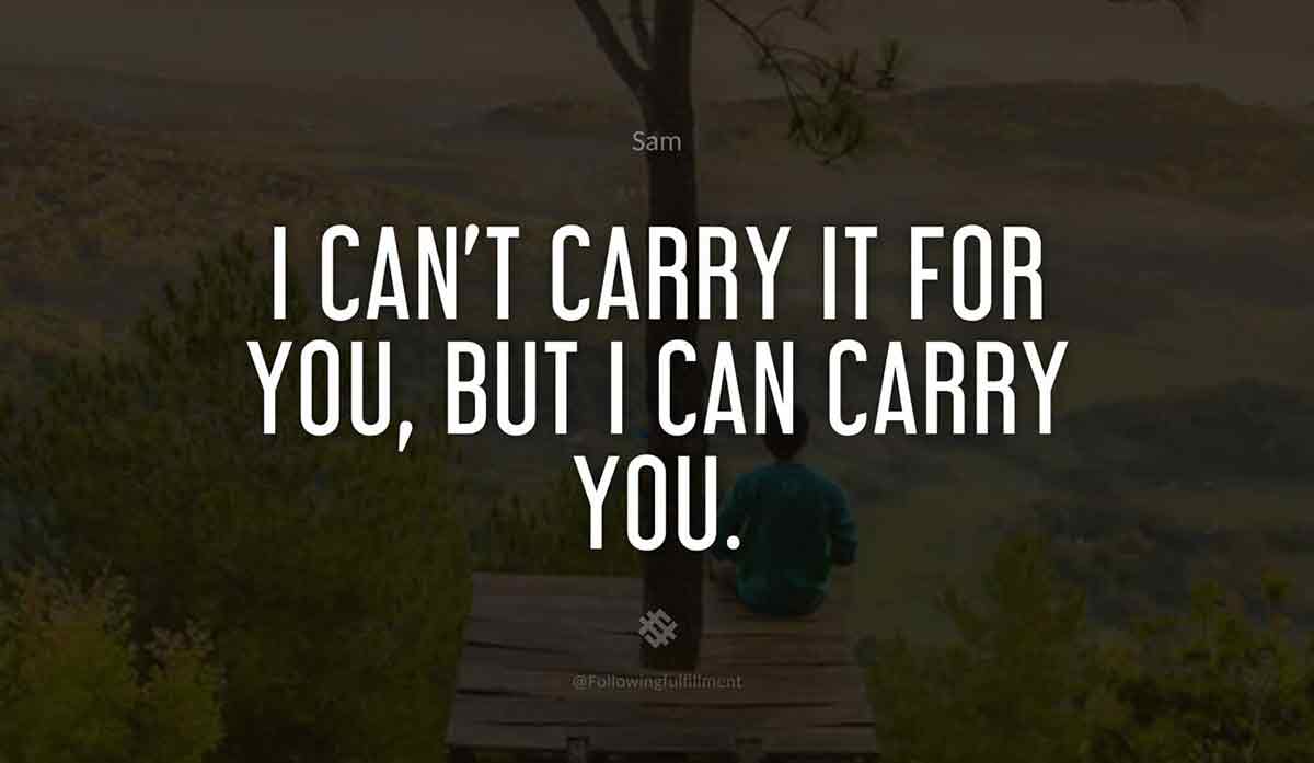 I cant carry it for you but I can carry you