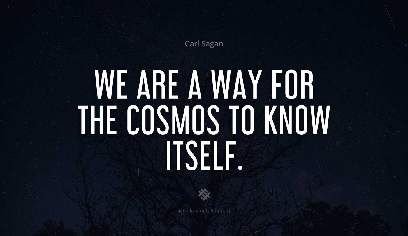 We are a way for the cosmos to know itself
