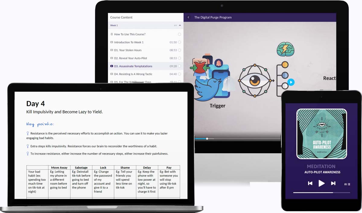 digital detox purge course challenge