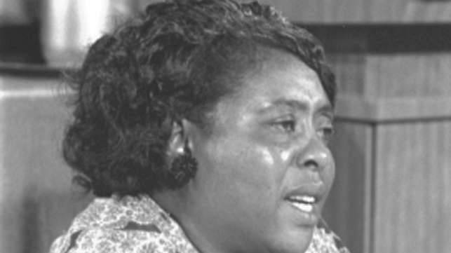 fannie lou hamer photo