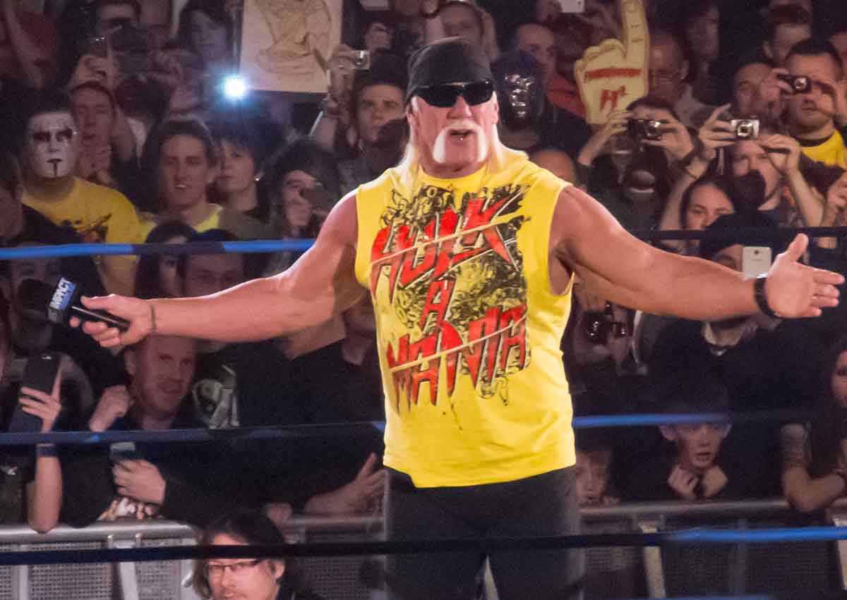 hulk hogan photo