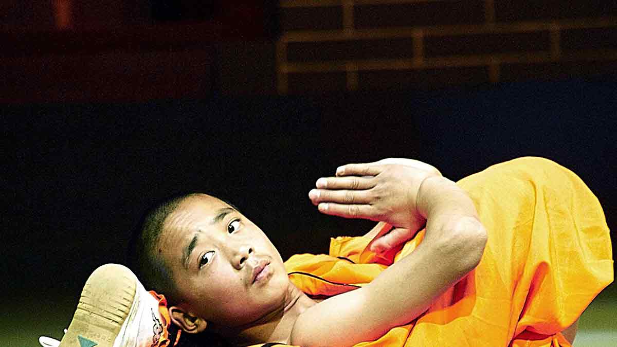 kung fu photo