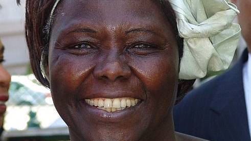 wangari maathai photo